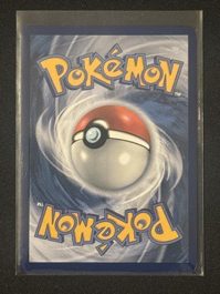 Dewgong (arka)