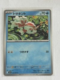 Goldeen