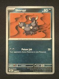Skorupi