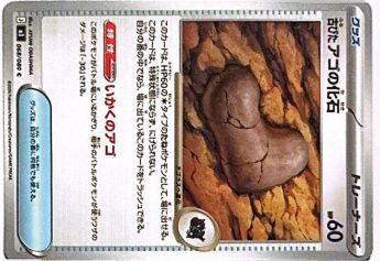 Antique Jaw Fossil